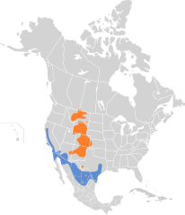 Mapa występowania