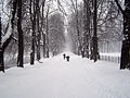 Inverno a Český Těšín.