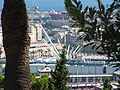 Il porto di Genova visto dal Castello d'Albertis