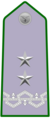 Shoulder insignia of a Dirigente Generale of the Corpo Forestale dello Stato