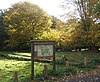 Fen Alder Carr