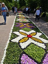 Beautiful carpet with live flowers, June 2021