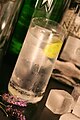 Gin Tonic