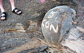 Concreciones 'Kettle' en Kettle Point, Ontario, desfiguradas por grafitis.