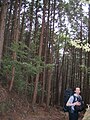 A traveler on the Kumano Kodō.