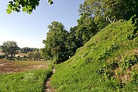 Lösswand am Fußpfad Bahnhof Georgenhausen–Zeilhard