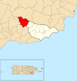 Location of Matuyas Alto within the municipality of Maunabo shown in red