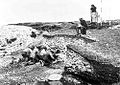 Image 34Excavation of the Ertebølle middens in 1880 (from Atlantic Ocean)