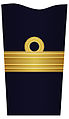 Sleeve insignia