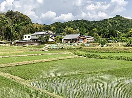 岩中町の田園風景