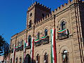 Miniatura para Palacio Municipal de Álamos