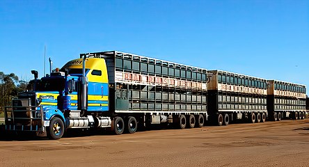 A three-trailer livestock road train in Australia