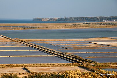 Salin de La Palme.