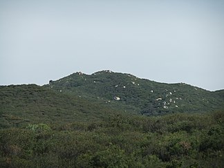 San Mateo Peak, höchste Erhebung der Elsinore Mountains