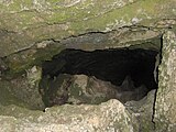 Sinkhole along the Cedar Forest Trail