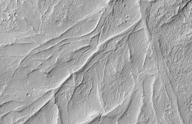 Sinuous Ridges within a branching fan in lower member of Medusae Fossae Formation,[12] as seen by HiRISE. Illumination is from the NW.