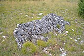 Dolmen de la Fontubière n°2