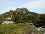 View of Mount Mansfield from the Long Trail