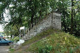 Baltia-tornet, som markerar Signal de Botrange, Belgiens högsta punkt, når upp till 700 m ö.h.