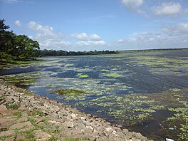 A lake with algal blooms on it