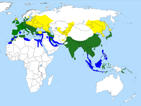 Description de l'image Alcedo atthis -range map-2-cp.png.