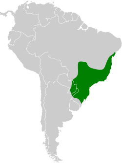 Distribución geográfica del ticotico ojibanco.