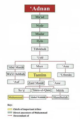 Image illustrative de l’article Banu Tamim