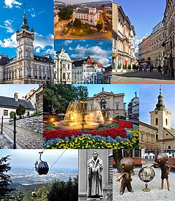 From upper left: Town Hall, Bielsko Castle & Bolesław Chrobry Square, 11 Listopada Street, Old Town – Kręta Street, Theatre Square, Martin Luther Church, Szyndzielnia gondola lift, Statue of Martin Luther, Bolek and Lolek Monument