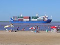 Container ship, traveling downstream by the city of Ramallo, Argentina