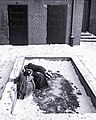 Children playing outside Pattee Hall in 1960