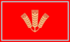 Flag of Sakhnovshchyna Raion