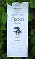 The front of the program for the student production of The Frogs, Spring 1999