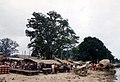 Market on the west bank at Mingun