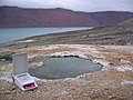 LOCAD-PTS analyzes microbial life in Arctic hot springs during AMASE (2004).