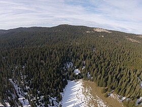 Vue aérienne du mont Pelé.