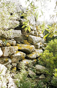 Nuraghe Predas Rujas 2. Muro del nuraghe parzialmente coperto dalla vegetazione