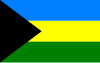 Flag of Braniewo County