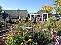 Parkdale Garden volunteer day