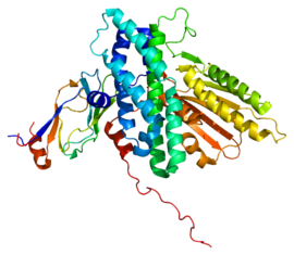 Image illustrative de l’article Dihydrolipoamide S-acétyltransférase