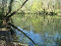 El Río Tea a su paso por Ribadetea