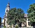 Kirche der unbefleckten Empfängnis der allerseligsten Jungfrau Maria