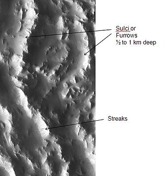 Sulci in Amazonis, as seen by THEMIS. "Sulci" in Mars geography language means a furrow, like a furrow on a brain's surface. This Sulci came from the basal scarp of Olympus Mons.