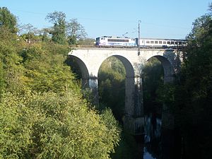 Train on stone viaduct