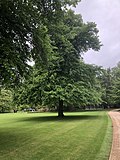 The lawns - the teahouse behind dates from 1939