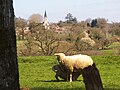 Vignette pour la version du 24 mai 2015 à 17:44