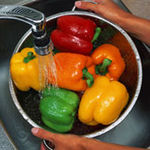 各種菜椒：綠色，紅色，黃色和橙色