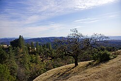 Henry W. Coe State Wilderness Park, in the Diablo Range, named for Henry Willard Coe, Jr.