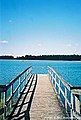 Fishing dock by a lake across near bike trails