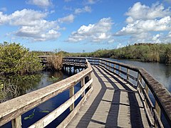 Anhinga Trail boardwalk, Everglades National Park, Florida