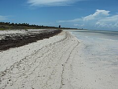 Plage à Cayo Coco